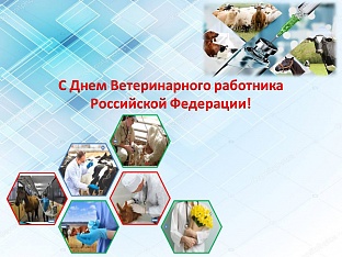 31 августа-День ветеринарного работника Российской Федерации!