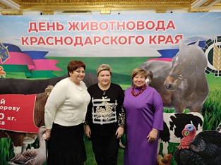 День животновода в Краснодарском крае