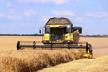Аграрии Кубани одними из первых в России приступили к уборке зерновых культур