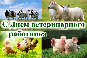 Поздравление с Днем ветеринарного работника